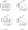 Fig. 07 - Gene therapy for haploinsufficiency