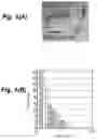 Fig. 02 - Three-dimensional tissue body, method for producing same, and formation agent for three-dimensional tissue body