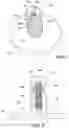 Fig. 07 - Height adjustment foot for medical devices, structures and systems including same