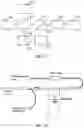 Fig. 12 - UNITARY BODY SYSTEMS AND DEVICES AND METHODS TO USE THE SAME FOR RETROPERFUSION