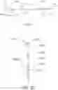 Fig. 14 - UNITARY BODY SYSTEMS AND DEVICES AND METHODS TO USE THE SAME FOR RETROPERFUSION