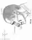 Fig. 09 - Vent adaptor for patient interface system