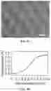 Fig. 08 - Core-shell microneedle devices and uses thereof