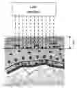 Fig. 01 - Apparatus and method for tissue regeneration