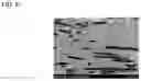Fig. 06 - Ceramic formed body extrusion method, ceramic formed body, and ceramic porous body