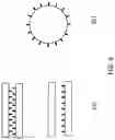 Fig. 07 - Method for fabricating a spacer fabric composite having a pattern