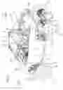 Fig. 02 - Wheel for utility vehicle