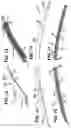 Fig. 07 - Windshield wiper blade