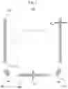 Fig. 02 - Glass container with an improved bottom geometry