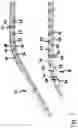 Fig. 08 - Drive system for a people conveyor