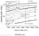Fig. 04 - Laser induced graphitization of boron carbide in air