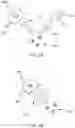 Fig. 03 - Two-Phase Reactions in Microdroplets