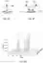 Fig. 06 - Two-Phase Reactions in Microdroplets