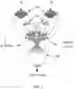 Fig. 08 - Two-Phase Reactions in Microdroplets