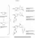 Fig. 02 - Upgrading lignocellulosic or carbohydrate material