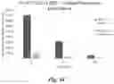 Fig. 12 - Prodrug compositions and utility of hydroxamate-based GCPII inhibitors