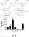 Fig. 16 - Prodrug compositions and utility of hydroxamate-based GCPII inhibitors