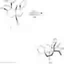 Fig. 83 - New Pleuromutilin Antibiotic Compounds, Compositions and Methods of Use and Synthesis