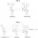 Fig. 03 - CANNABINOID RECEPTOR MEDIATING COMPOUNDS