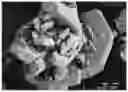 Fig. 01 - Method for producing a polymorphic form of 3-[5-amino-4-(3- cyanobenzoyl)-pyrazol-1-yl]-N-cyclopropyl-4-methylbenzamide