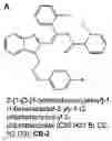 Fig. 01 - MCT4 inhibitors and uses thereof