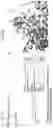 Fig. 04 - MCT4 inhibitors and uses thereof
