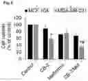 Fig. 06 - MCT4 inhibitors and uses thereof
