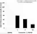 Fig. 01 - Methyllactam ring compound and pharmaceutical use thereof