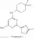 Fig. 33 - Potassium channel modulators