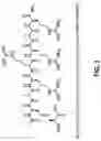 Fig. 02 - Method for preparing AMG 416 (etelcalcetide)