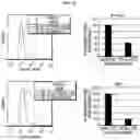 Fig. 08 - MODIFIED PEPTIDES AND THEIR USE FOR TREATING SYSTEMIC LUPUS ERYTHEMATOSUS