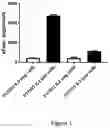 Fig. 02 - Peptides and methods for the treatment of diabetes