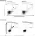 Fig. 30 - Peptides for use in immunotherapy against cancers