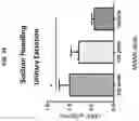 Fig. 07 - MANP analogues