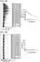 Fig. 06 - PD1-41BBL fusion protein and methods of use thereof
