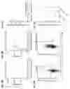 Fig. 06 - SIRPalpha-41BBL fusion protein and methods of use thereof