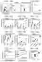 Fig. 09 - SIRPalpha-41BBL fusion protein and methods of use thereof