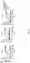 Fig. 46 - CHIMERIC ANTIBODIES COMPRISING BINDING DOMAINS OF PHAGE LYSINS, BACTERIAL AUTOLYSINS, BACTERIOCINS, AND PHAGE TAIL OR TAIL FIBERS