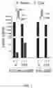 Fig. 08 - Fusion protein comprising a blood-brain barrier (BBB)-crossing single domain antibody Fc5, an immunoglobulin Fc fragment and a beta-amyloid binding polypeptide (ABP)