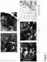 Fig. 02 - ANTIGEN ASSOCIATED WITH RHEUMATOID ARTHRITIS