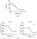 Fig. 04 - Antibodies against LIF and uses thereof