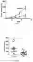 Fig. 10 - Antibodies against LIF and uses thereof