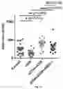 Fig. 17 - Antibodies against LIF and uses thereof