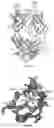 Fig. 19 - Antibodies against LIF and uses thereof