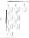 Fig. 45 - Multivalent antibody