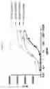 Fig. 49 - Multivalent antibody