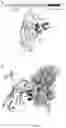 Fig. 04 - PD-L1 binding polypeptide or composite