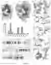 Fig. 06 - PD-L1 binding polypeptide or composite