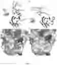Fig. 08 - PD-L1 binding polypeptide or composite
