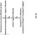 Fig. 09 - ASSAY TO DETECT HUMAN DPP-4